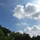 정은나라