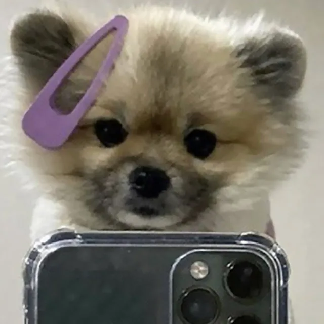 이크림