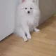 골프사랑71다정