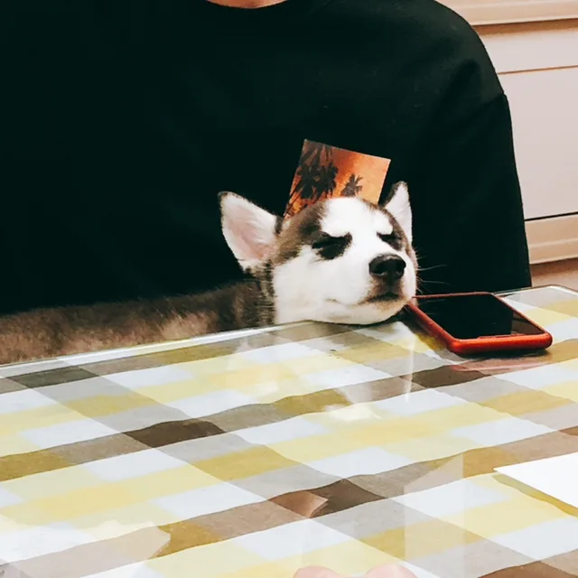 청화