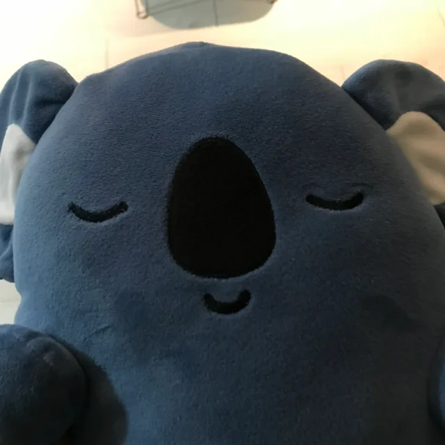 스카이블루
