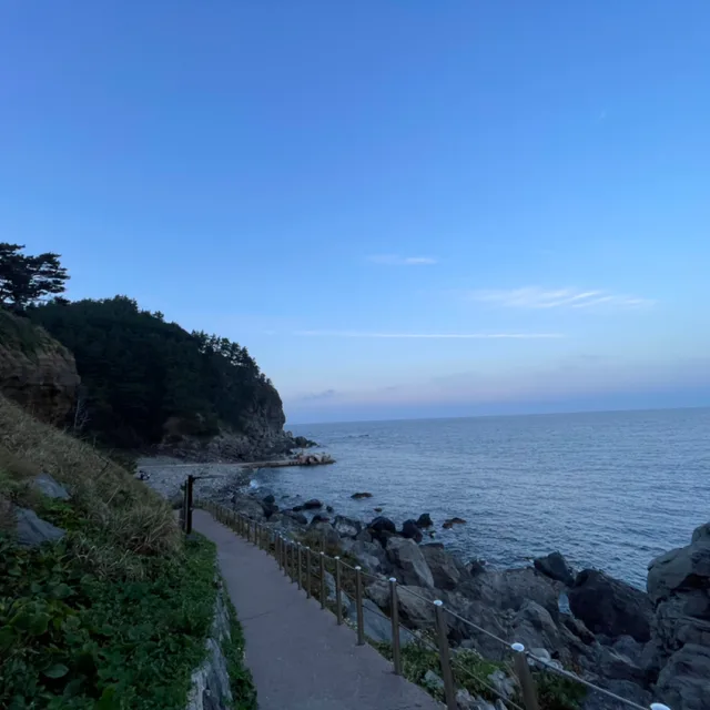 조샐이