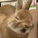 읏차