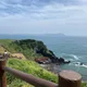 복복이