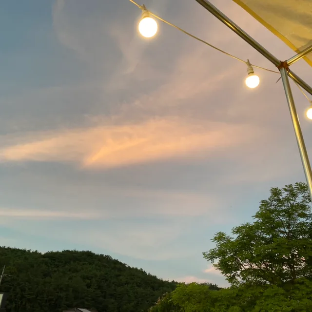 뚜기