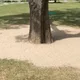 당근초보