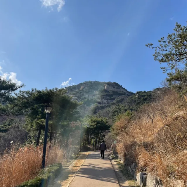 여행자