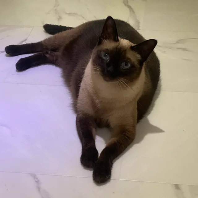 구조물