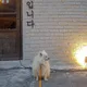 제로마인드