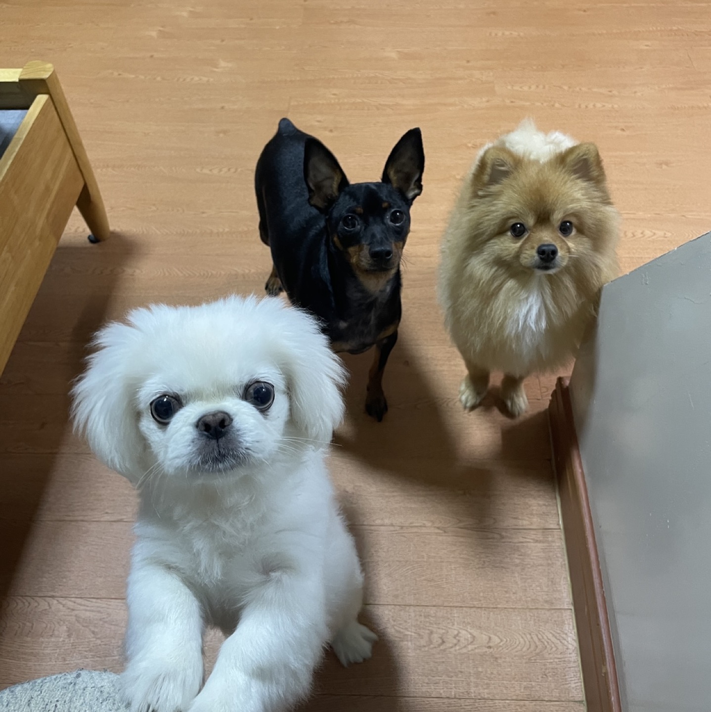 춘트리오맘