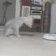 베르