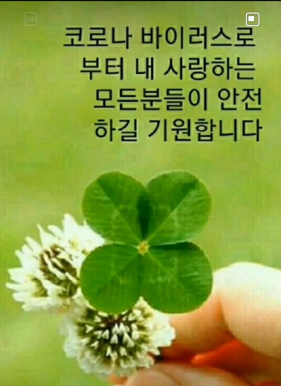 올챙이