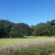 행복