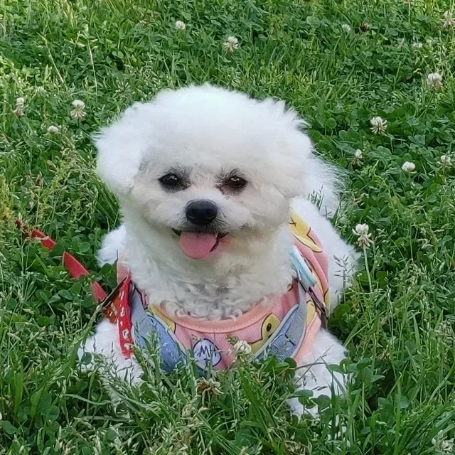 오구맘