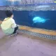 후달리냥