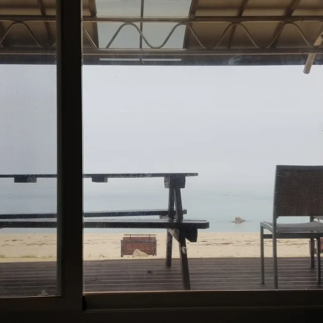 소나무