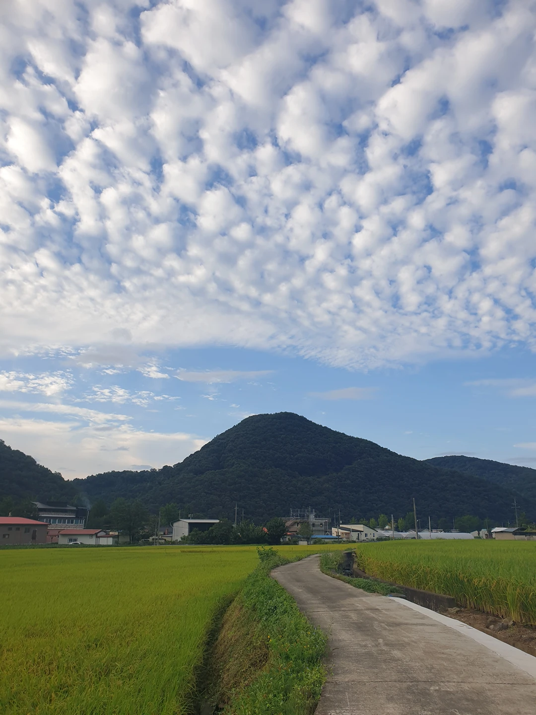 관저리이선장