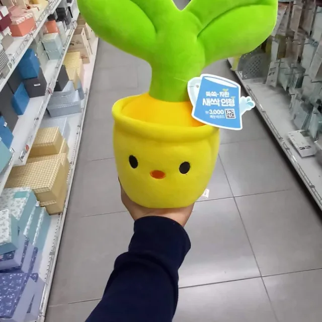 오리