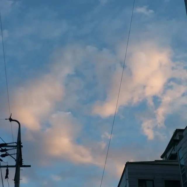 푸른