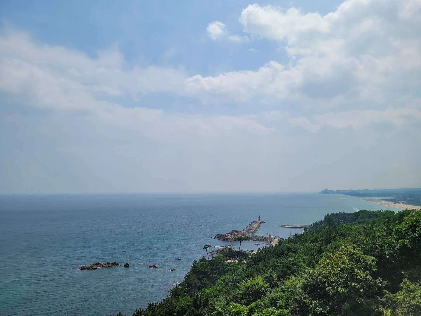나초앤치즈