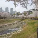 언제나봄날