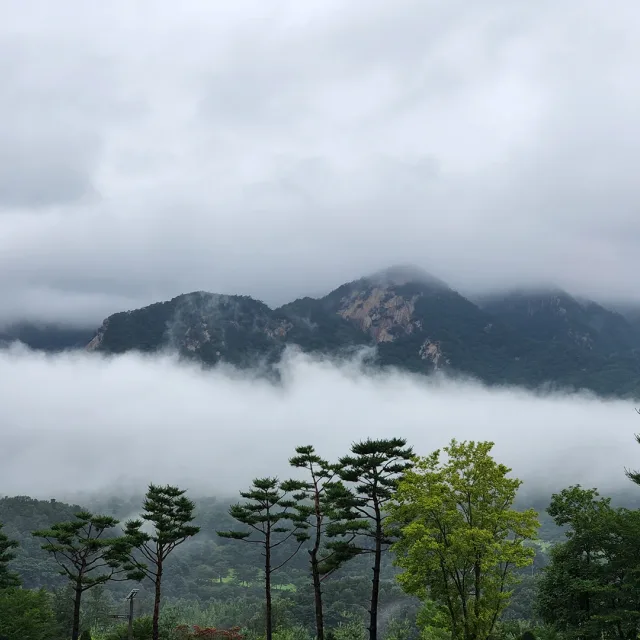 별하