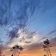 sun남매
