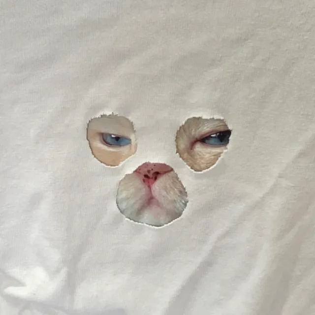 꼬꼬
