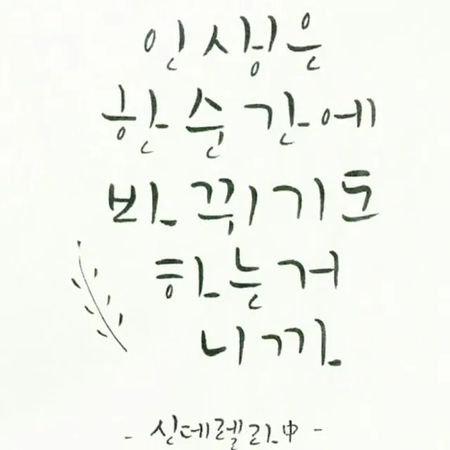 두남매맘