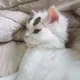 쿨거합니다