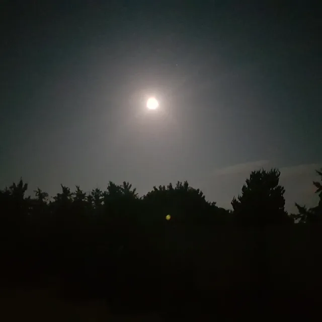 이것저것