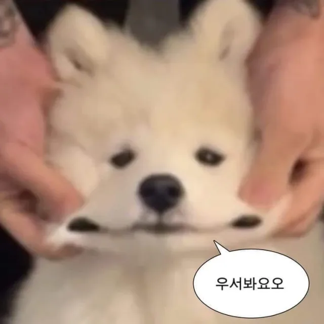 yunho