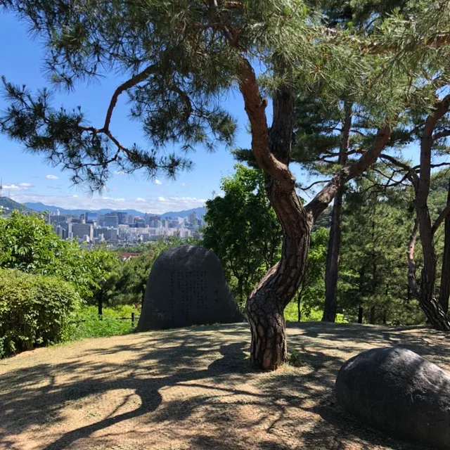 붐붐