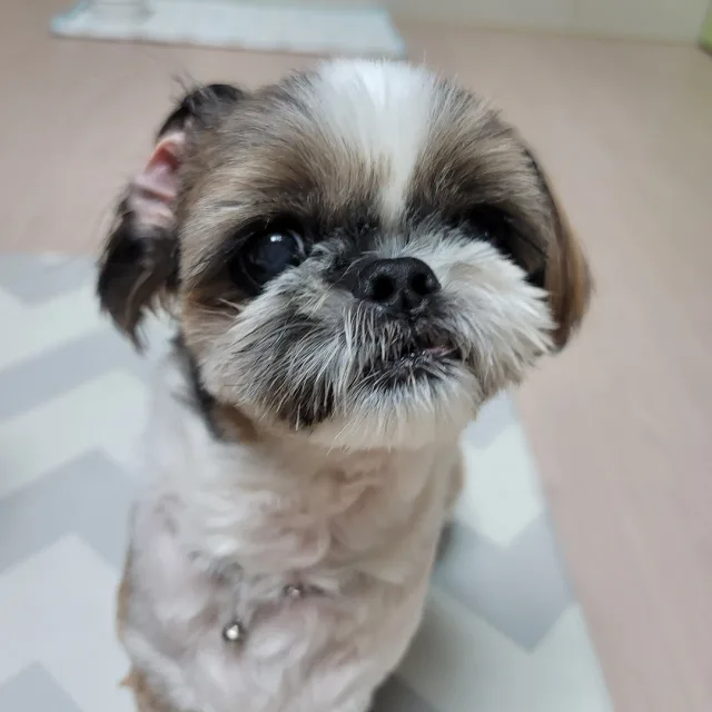 아꽁