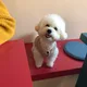 봉수욱