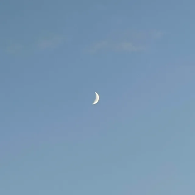 렛잇고