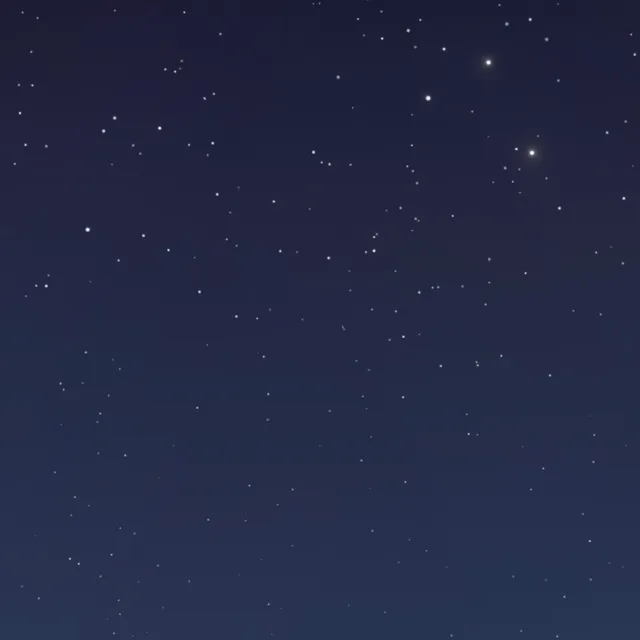 스테이캄