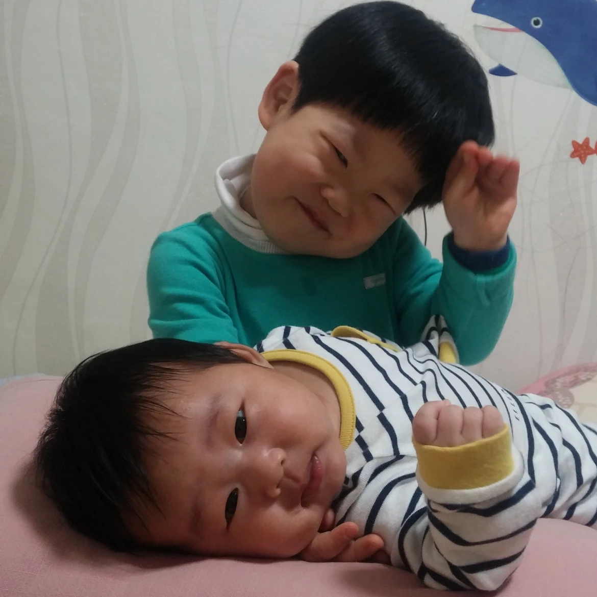 송이