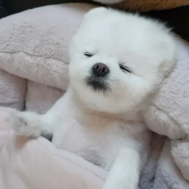 대전친절시민