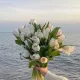 슈거프리