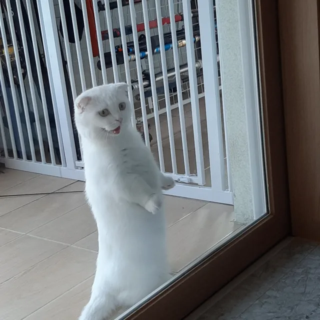 마빈