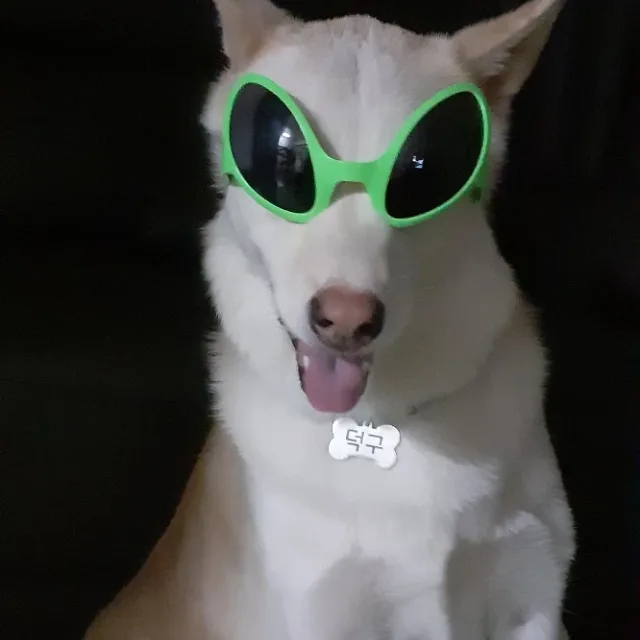 덕구덕후