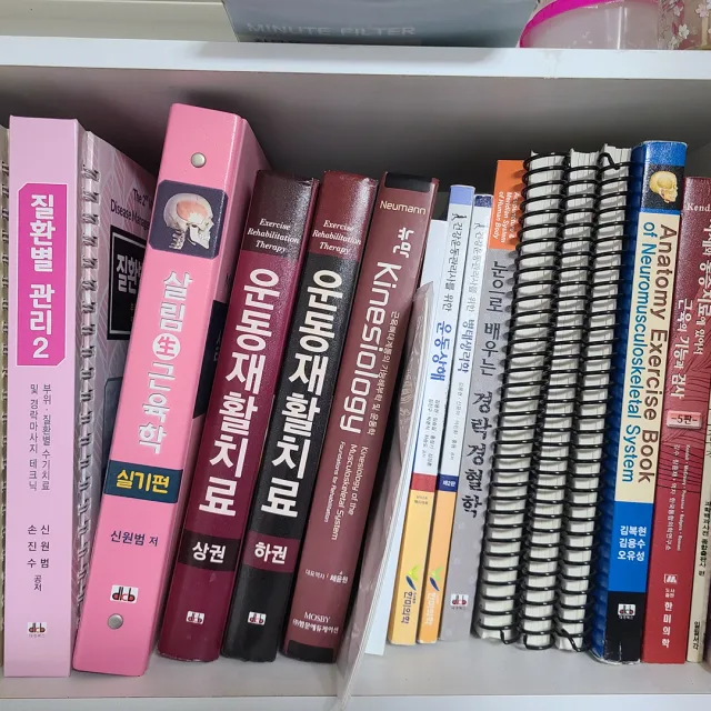 도수o통증분석가