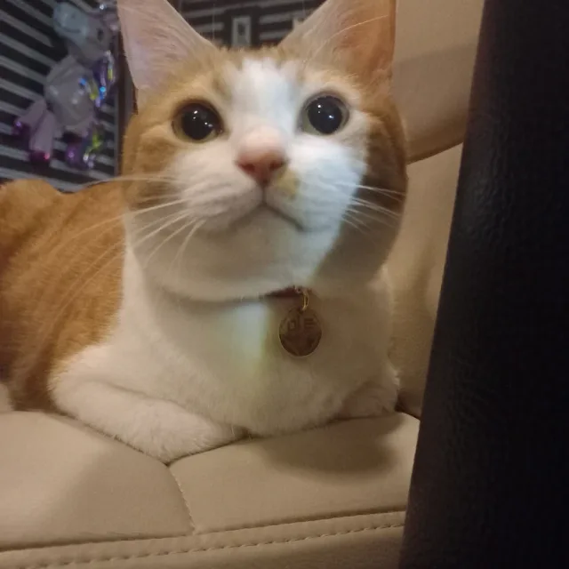 우리동네마트