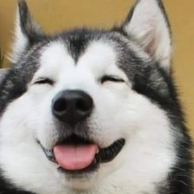 보통날
