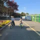 미니짱짱이