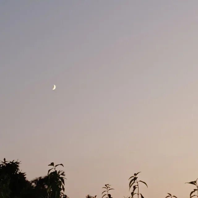 구름누름