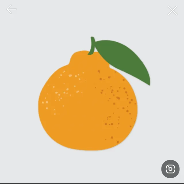 한라봉