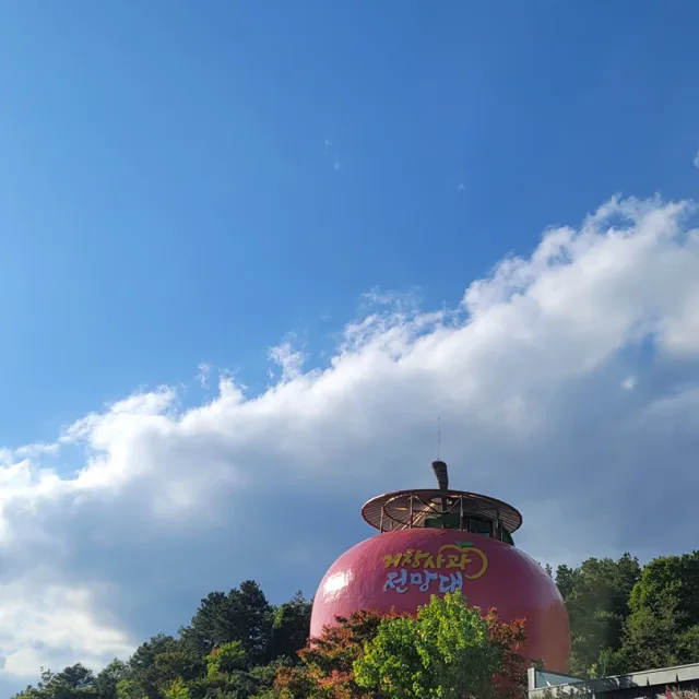 통통왕비