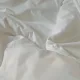 프리지아